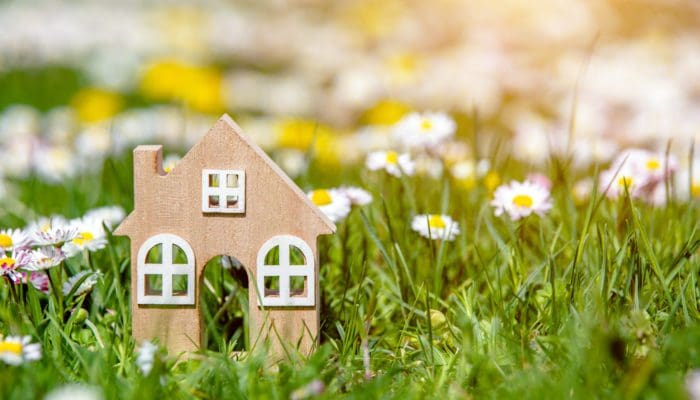 house surrounded by daisies in springtime