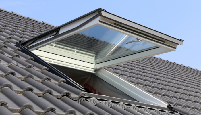 a brooks kanga roof skylight