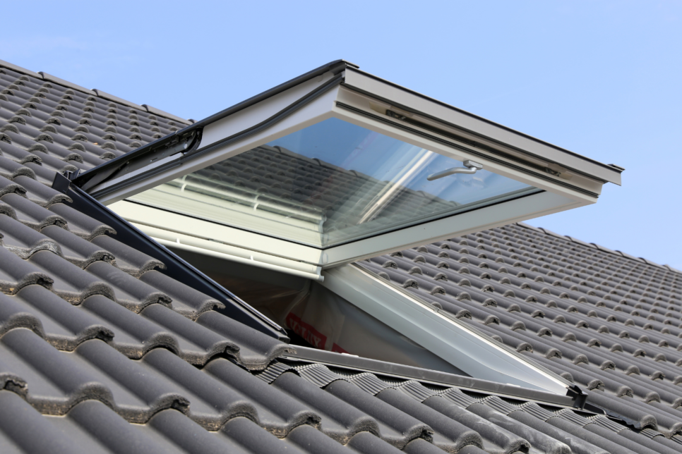 a brooks kanga roof skylight