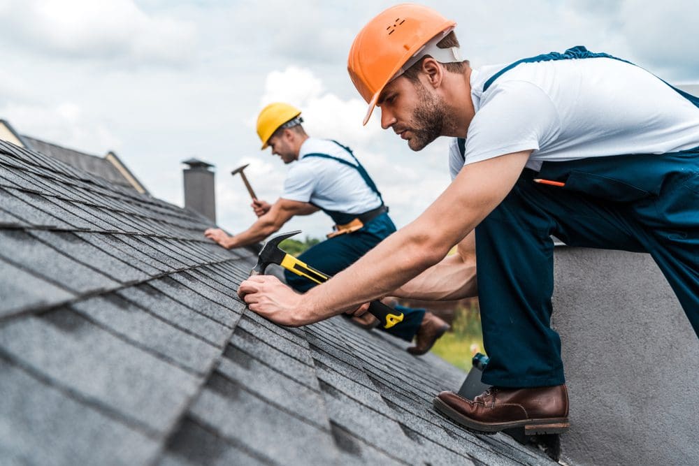 roof replacement services